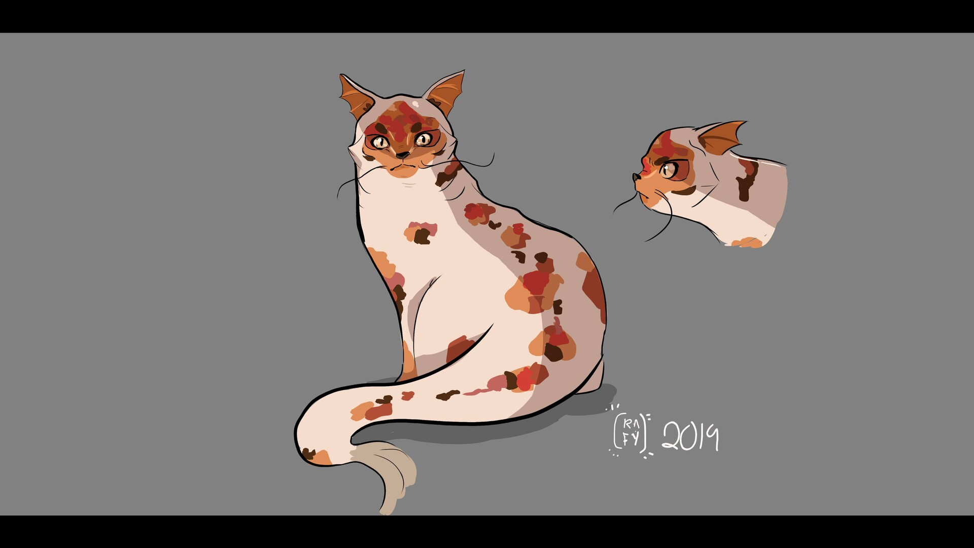 Rafael Andaya Cat fish 2019