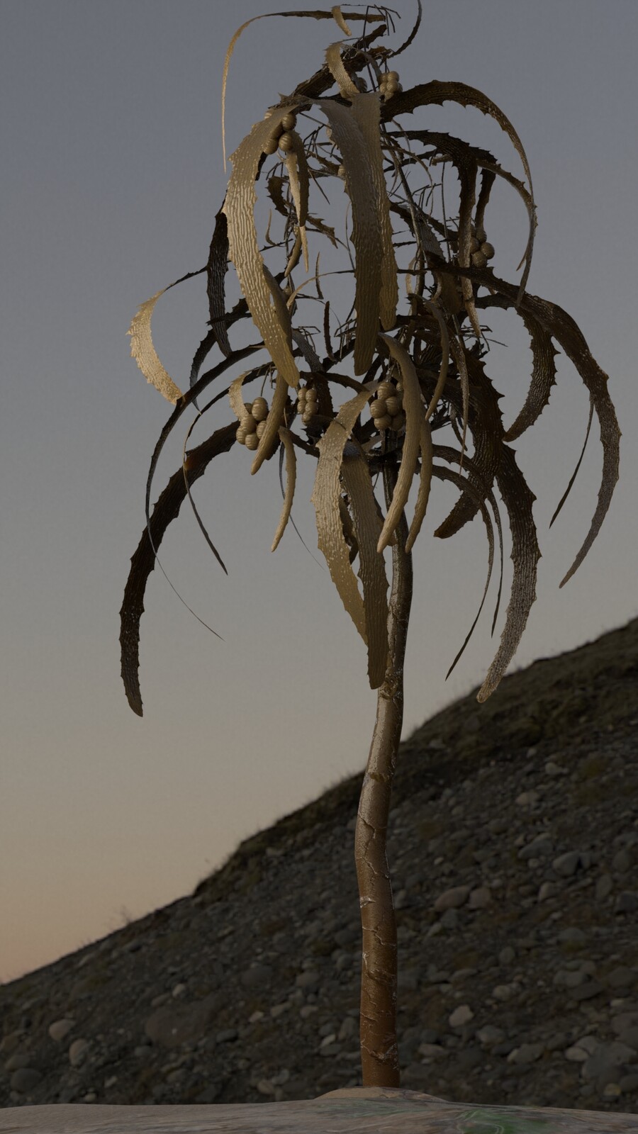 Seaweed tree: Modo, Substance, kelp atlas from Quixel Megascans