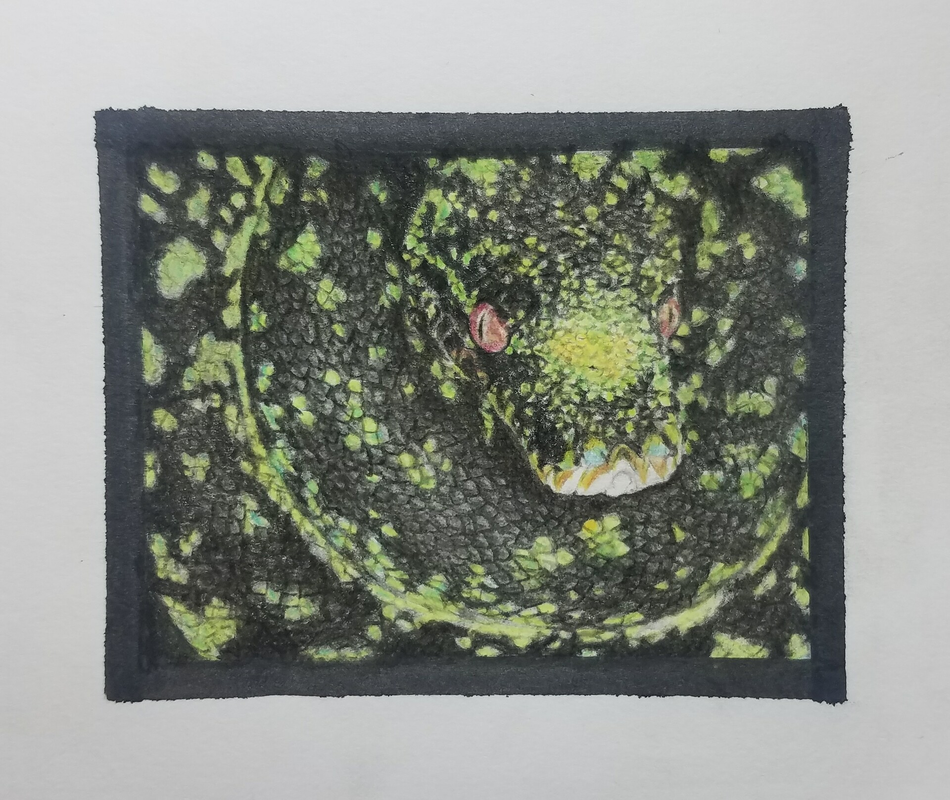 ArtStation - Green Tree Python