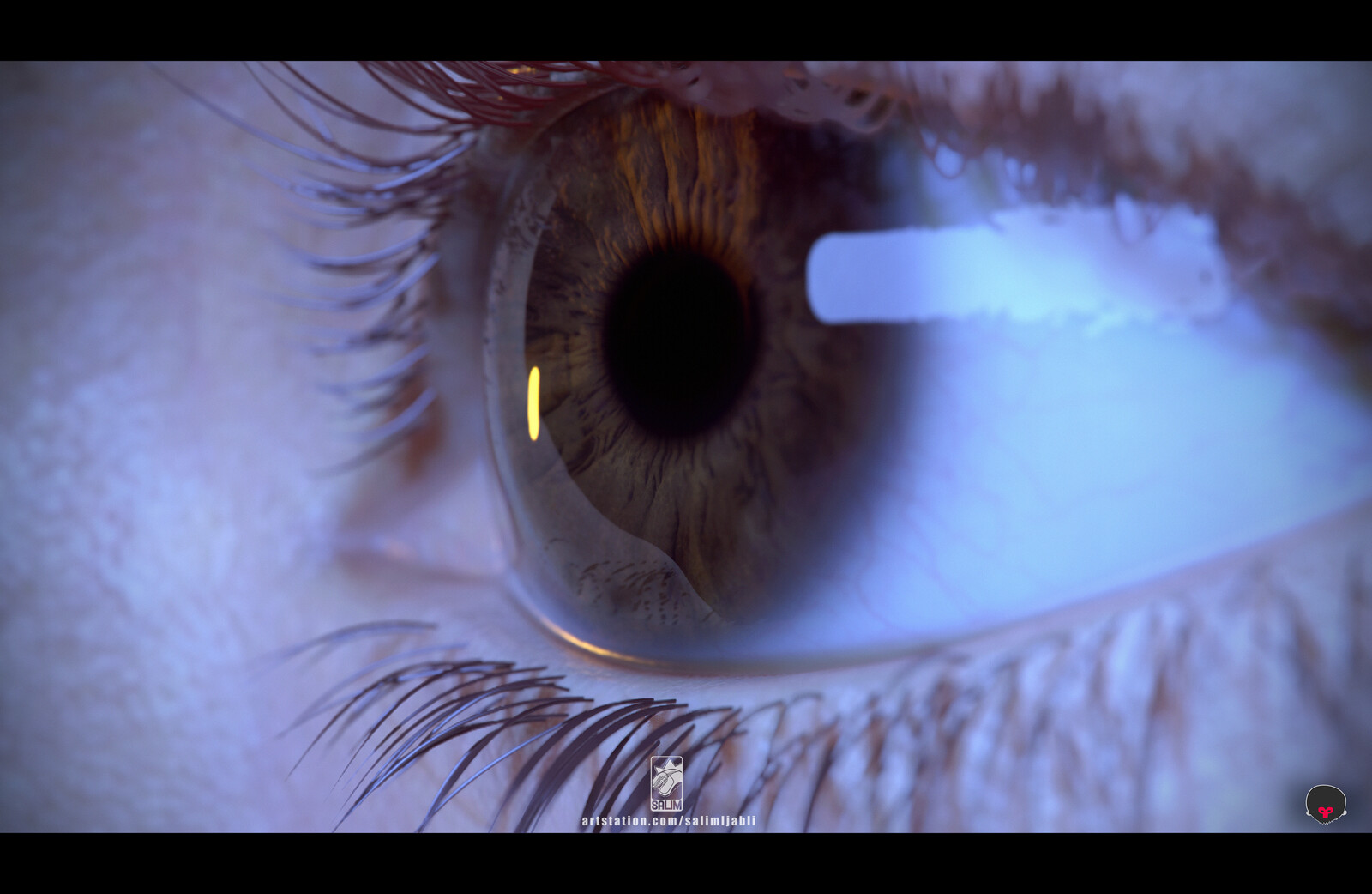 this iris texture is from TexturingXYZ and isn't included in the files