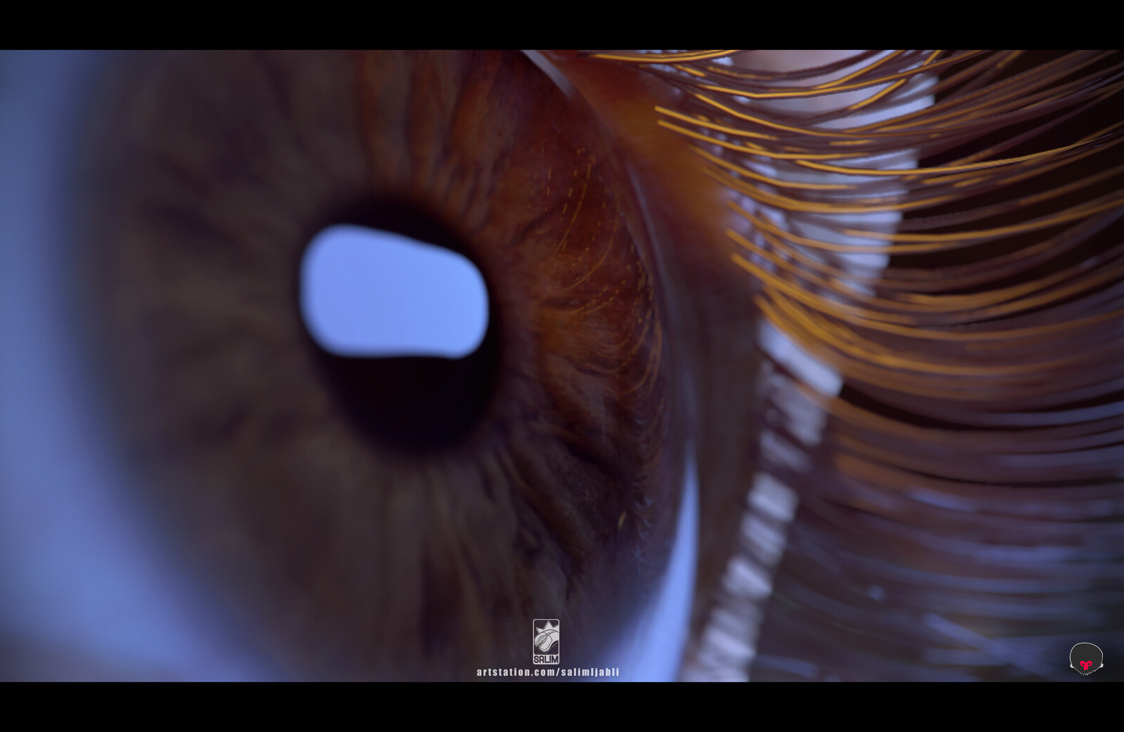 this iris texture is from TexturingXYZ and isn't included in the files