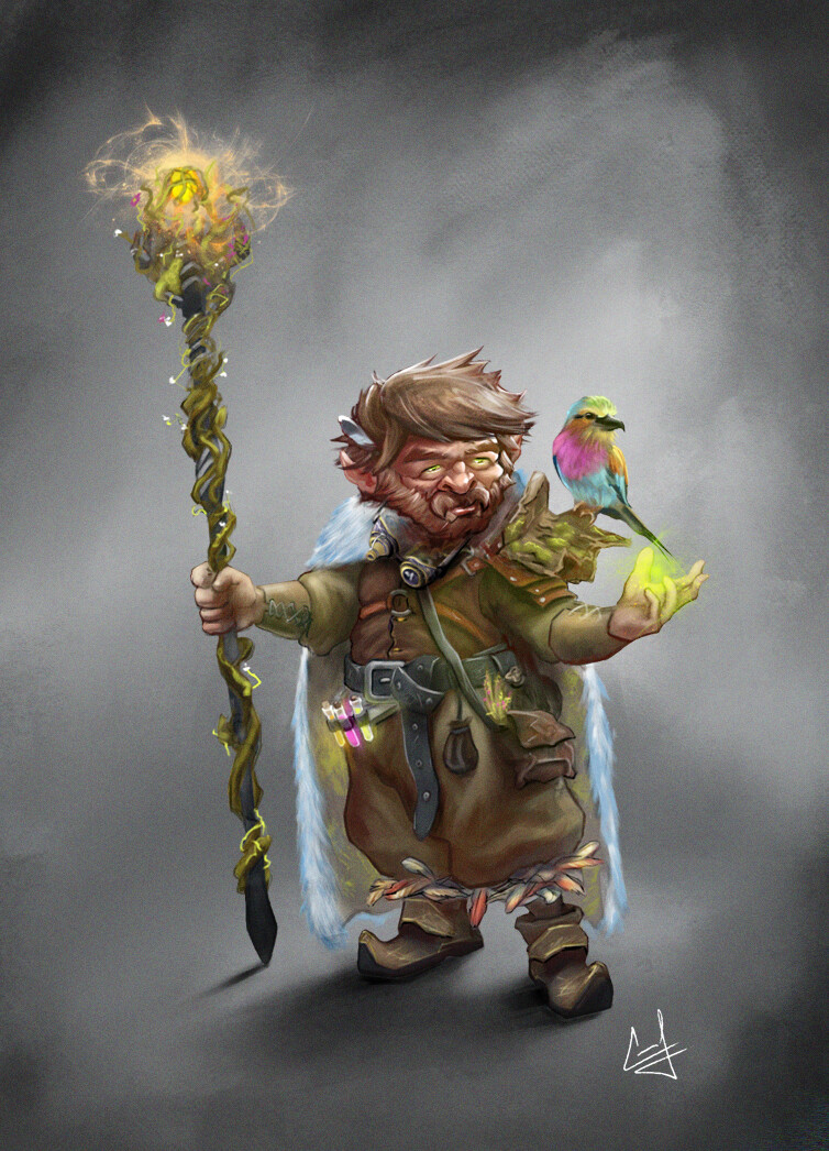 Featured image of post View 27 Male D&amp;D Gnome Druid