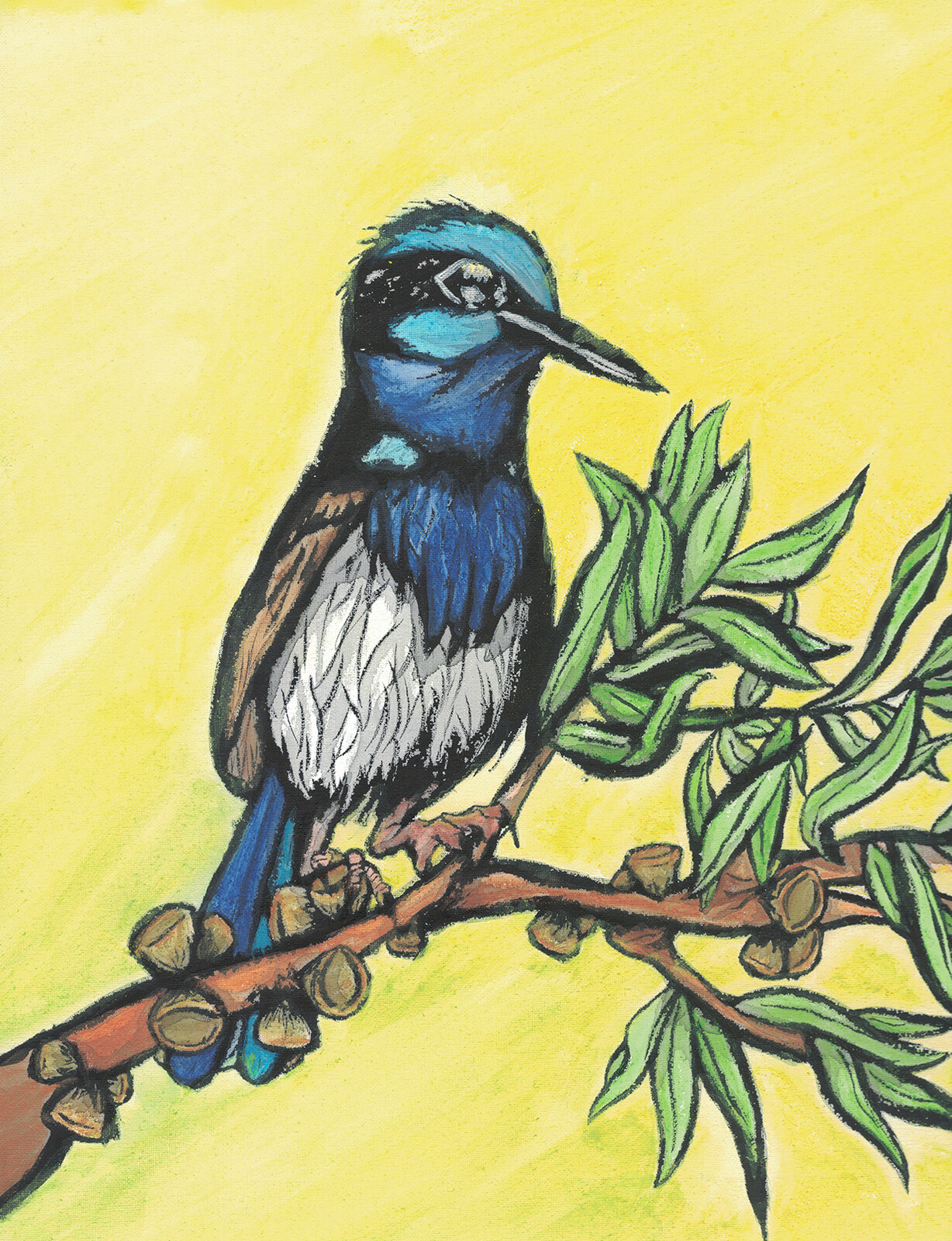 Ended up fully coloring this with watercolor pencils. Quite happy with how the Superb little bird turned out.