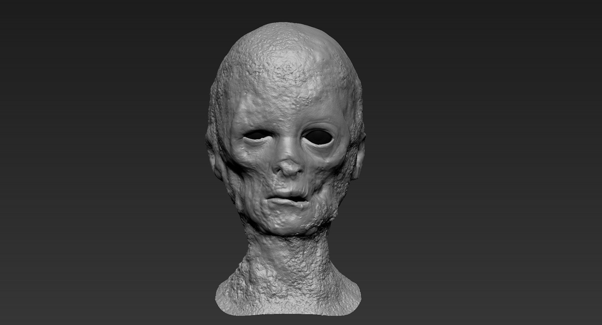 Zbrush view of the head