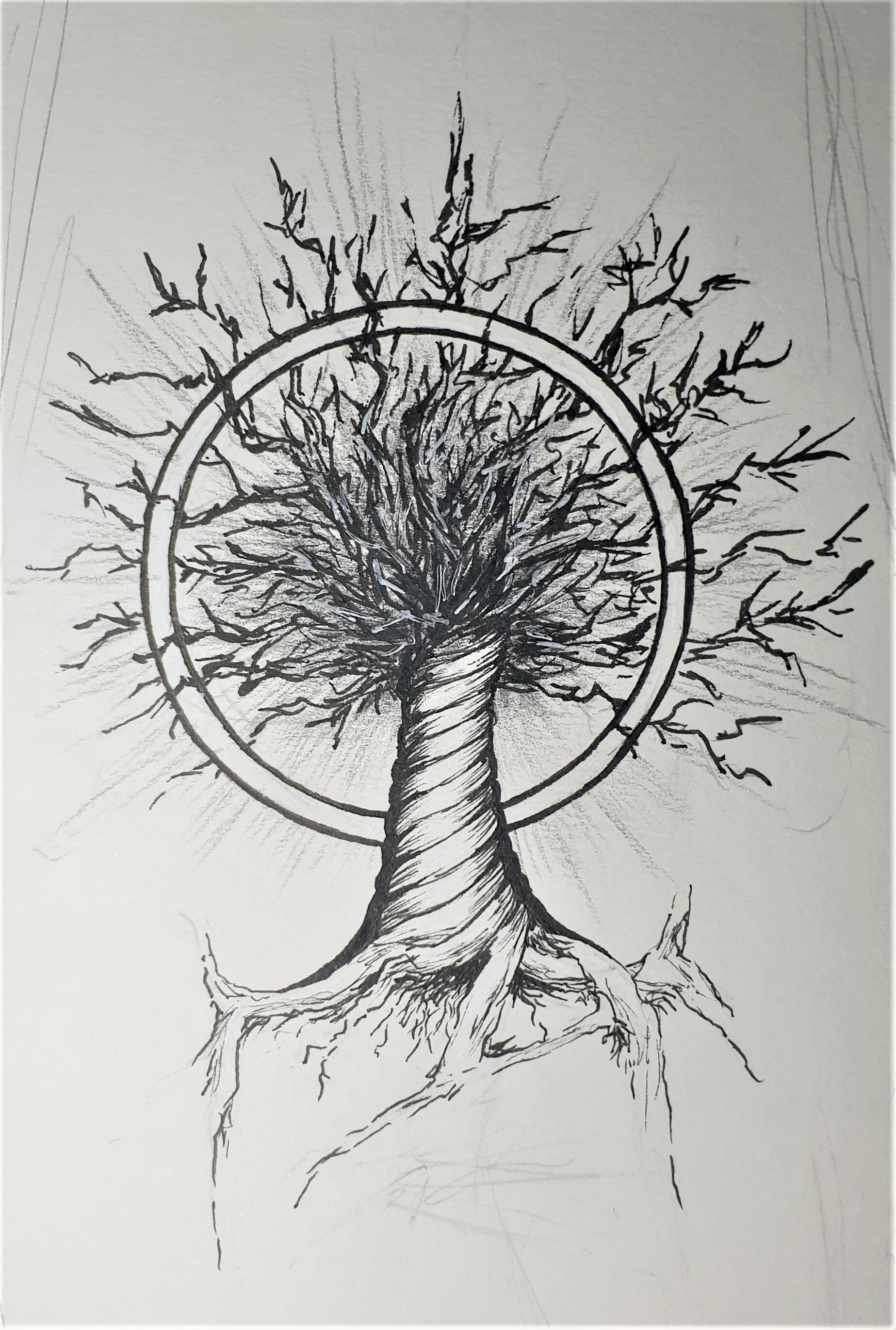 Tree Tattoo Projects  Photos videos logos illustrations and branding on  Behance