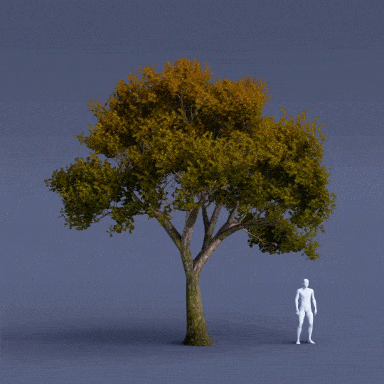 ArtStation - trEEVEE - ANIMATED TREES PACK