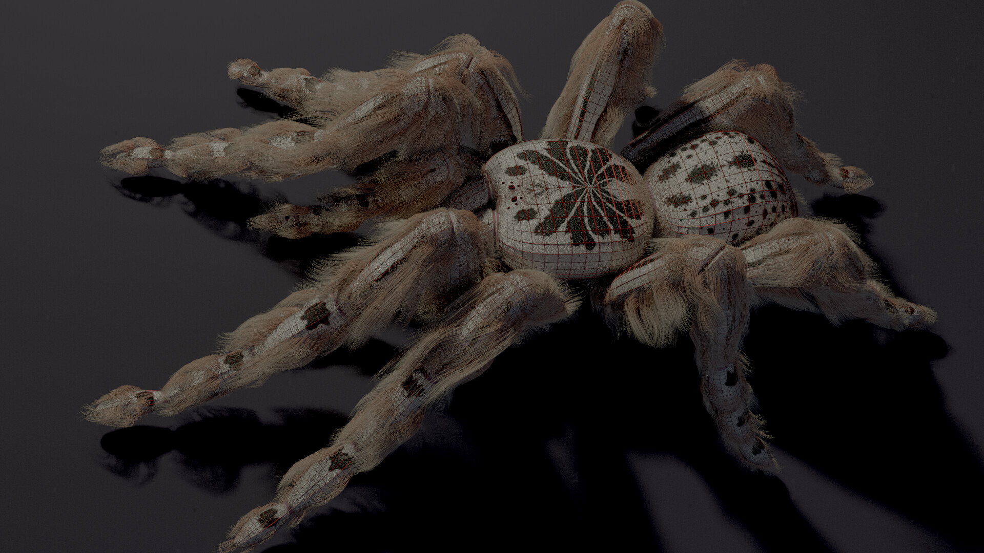 Evil white spider 