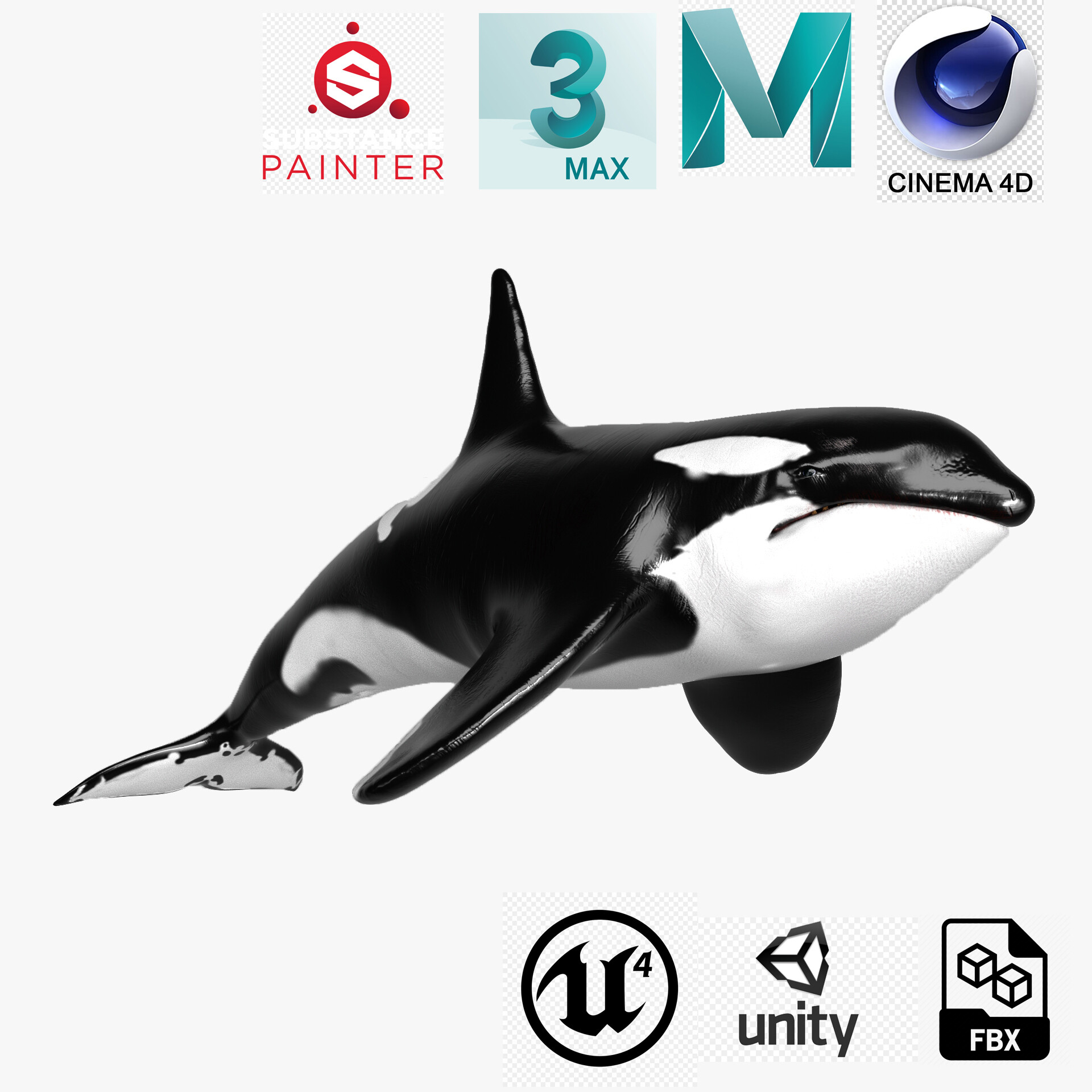 ArtStation - Killer Whale C4d Max Maya UNITY Unreal Engine 4 PAck