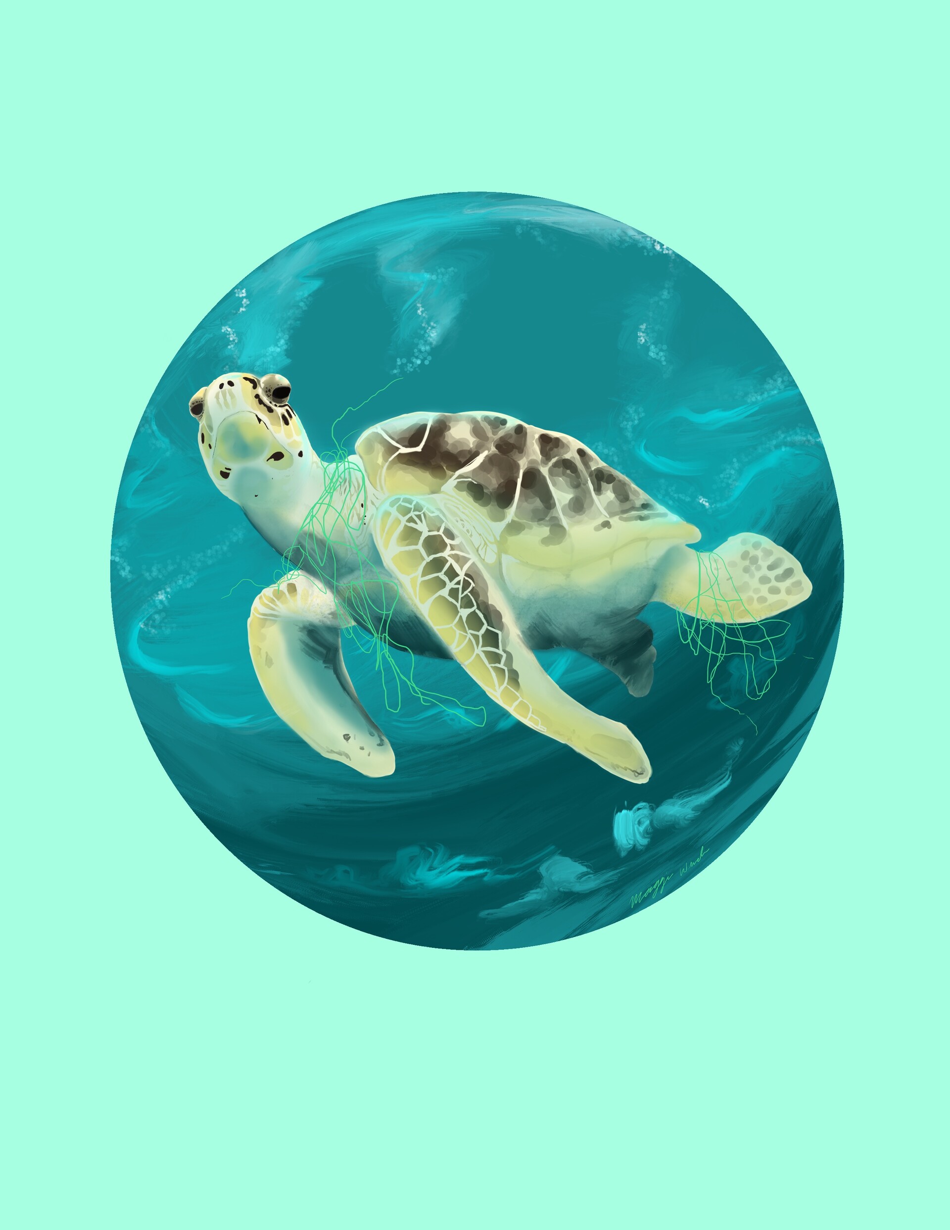 Maggie Wincek Sea Turtle Endangered Species Collection
