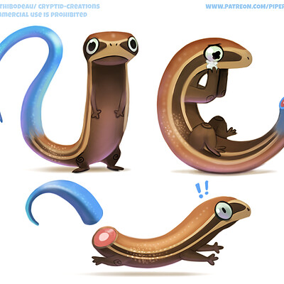 Piper thibodeau dp2639 s