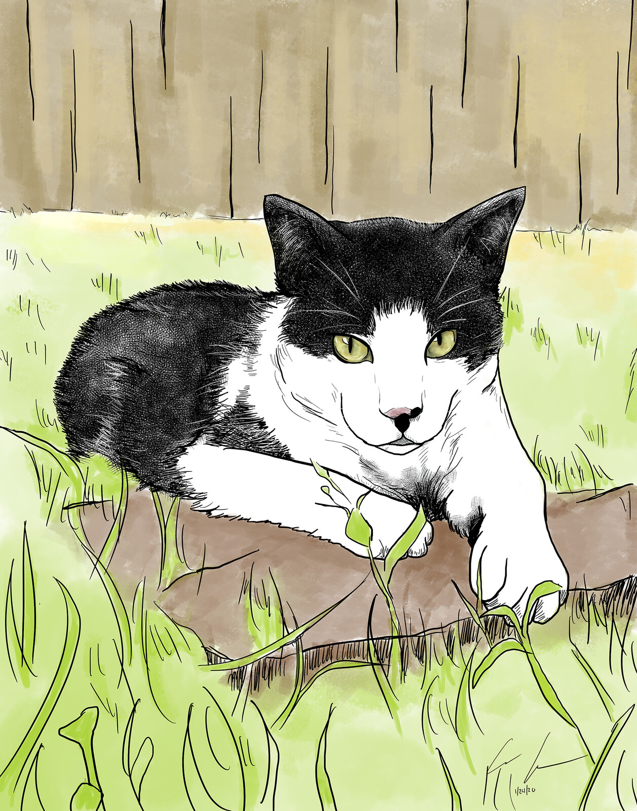 Green Eyes
