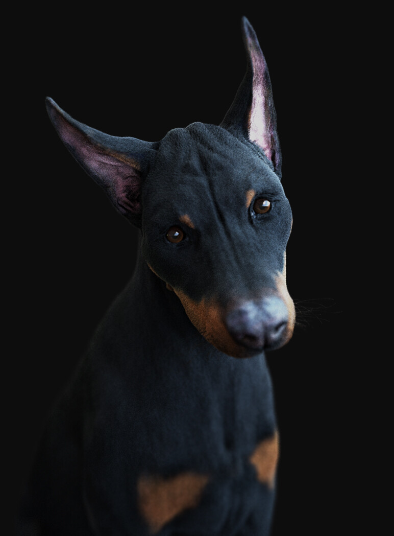 Dobe project
