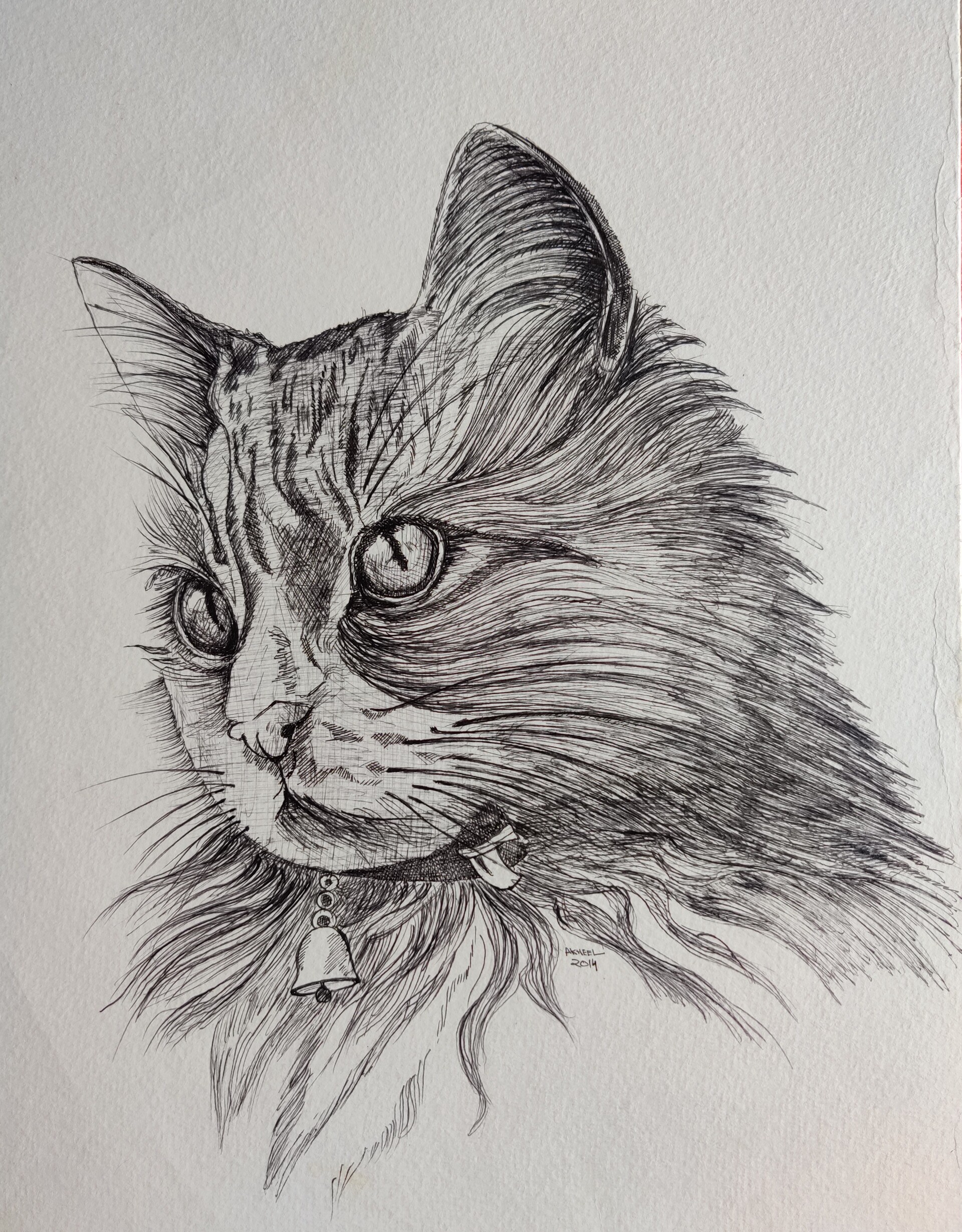 ArtStation Cat pen and ink drawing