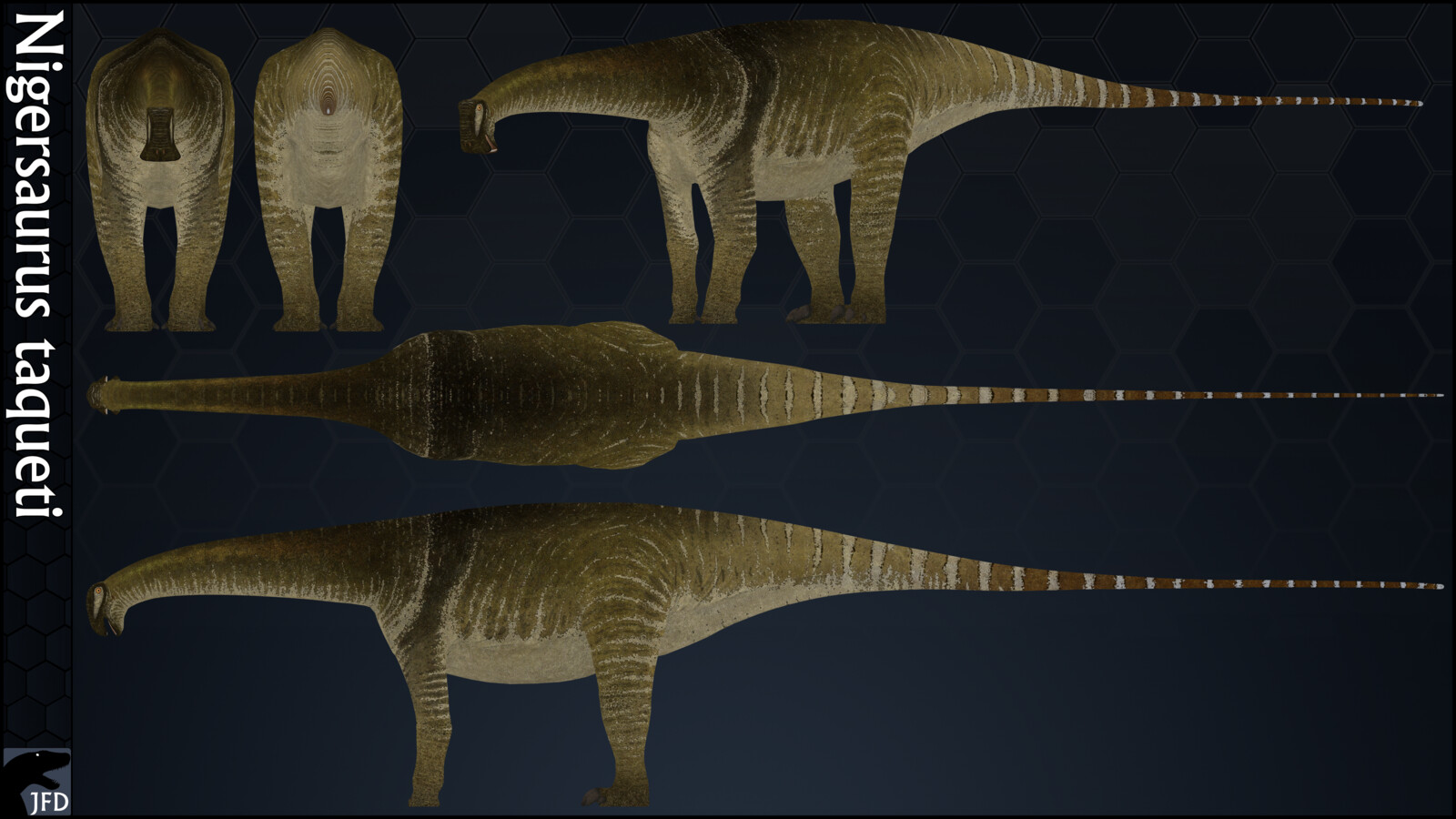 Nigersaurus taqueti orthographic multi-view render.