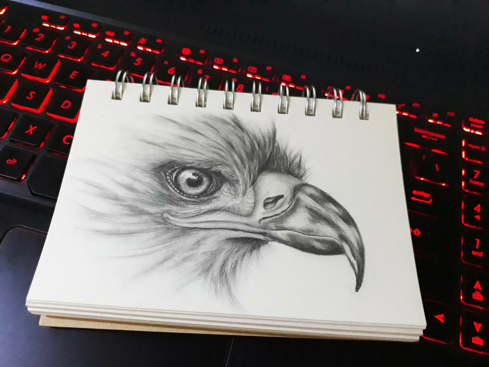 Eagle Head Study in Graphite - TJ Bishop Art | TJ Bishop Art