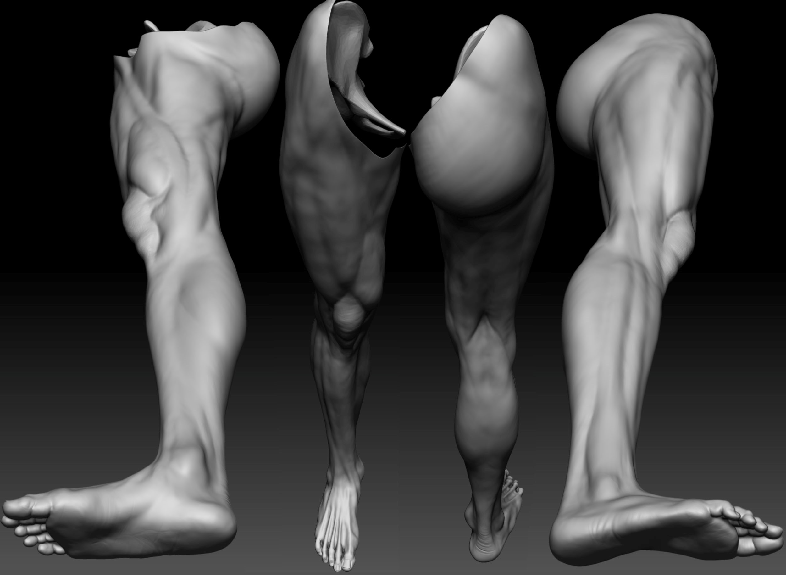Leg art. Анатомия ноги 3д. Анатомическая ножка. 3д модели анатомия стопы человека. Вечно холодные ноги анатомия.