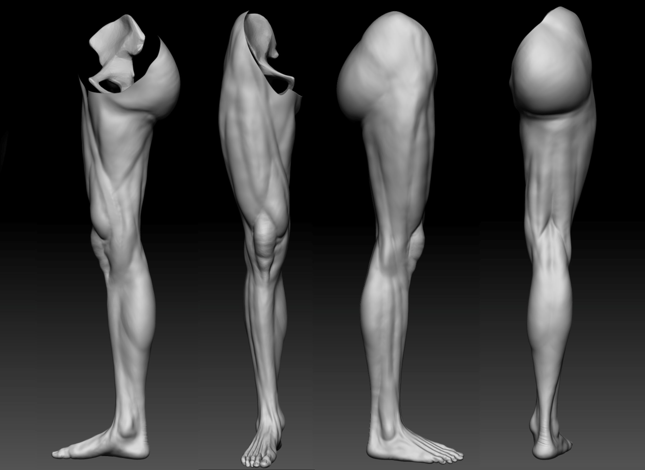 ArtStation - Calf muscles