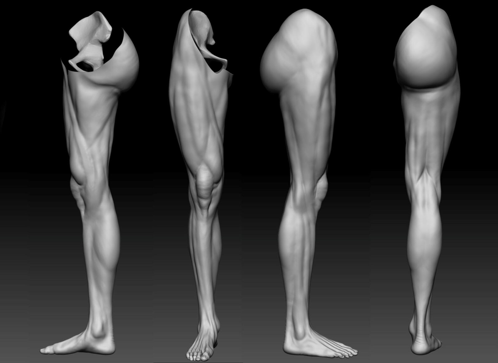 Leg Study