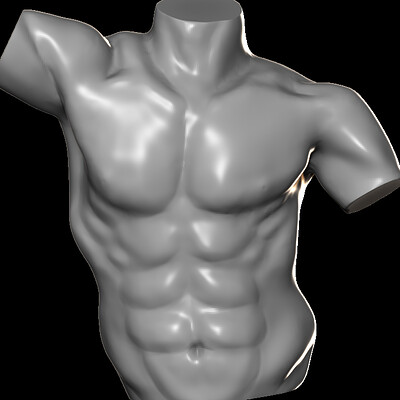 male torso front