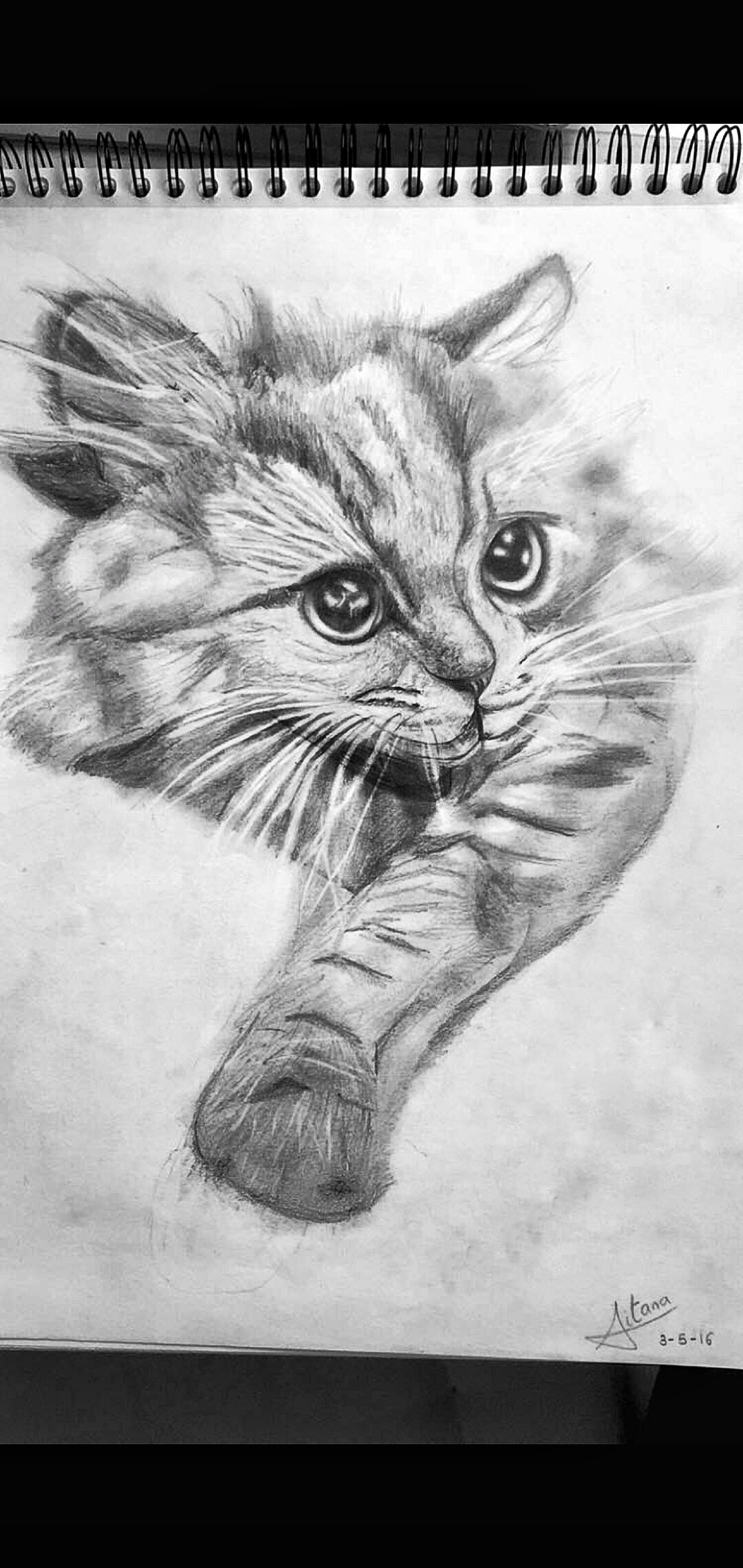 Artstation Pencil Aitana Domingues