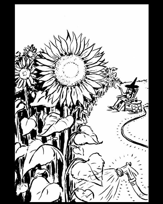 Sunflower Witch