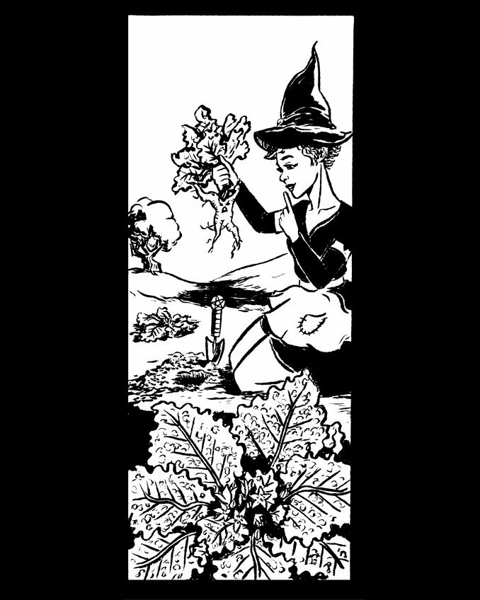 Mandrake Witch