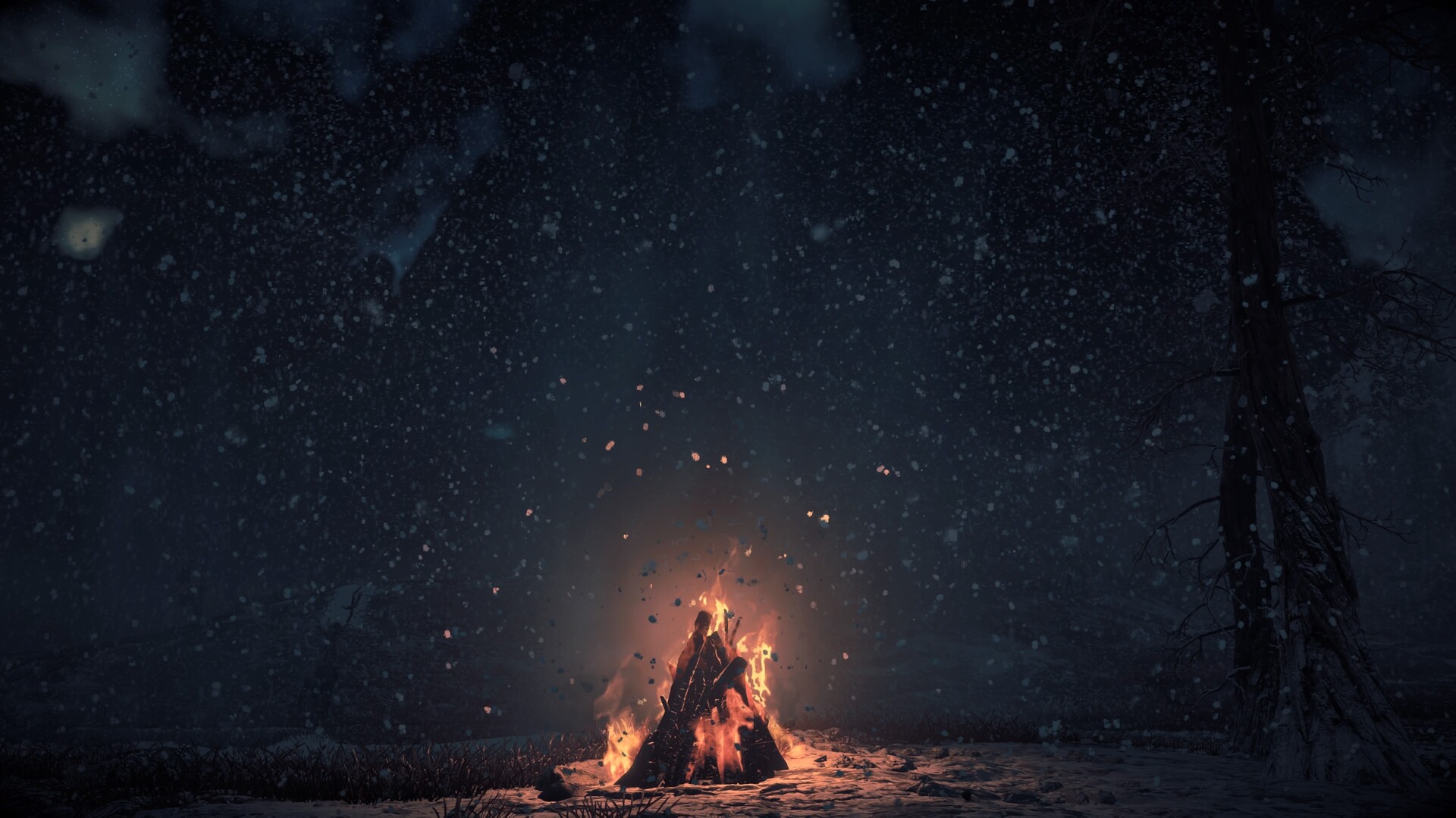 10 Campfire HD Wallpapers and Backgrounds