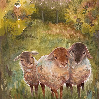Meike wallum sheep bois