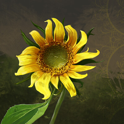 Mark orr jr sunflower 1 large
