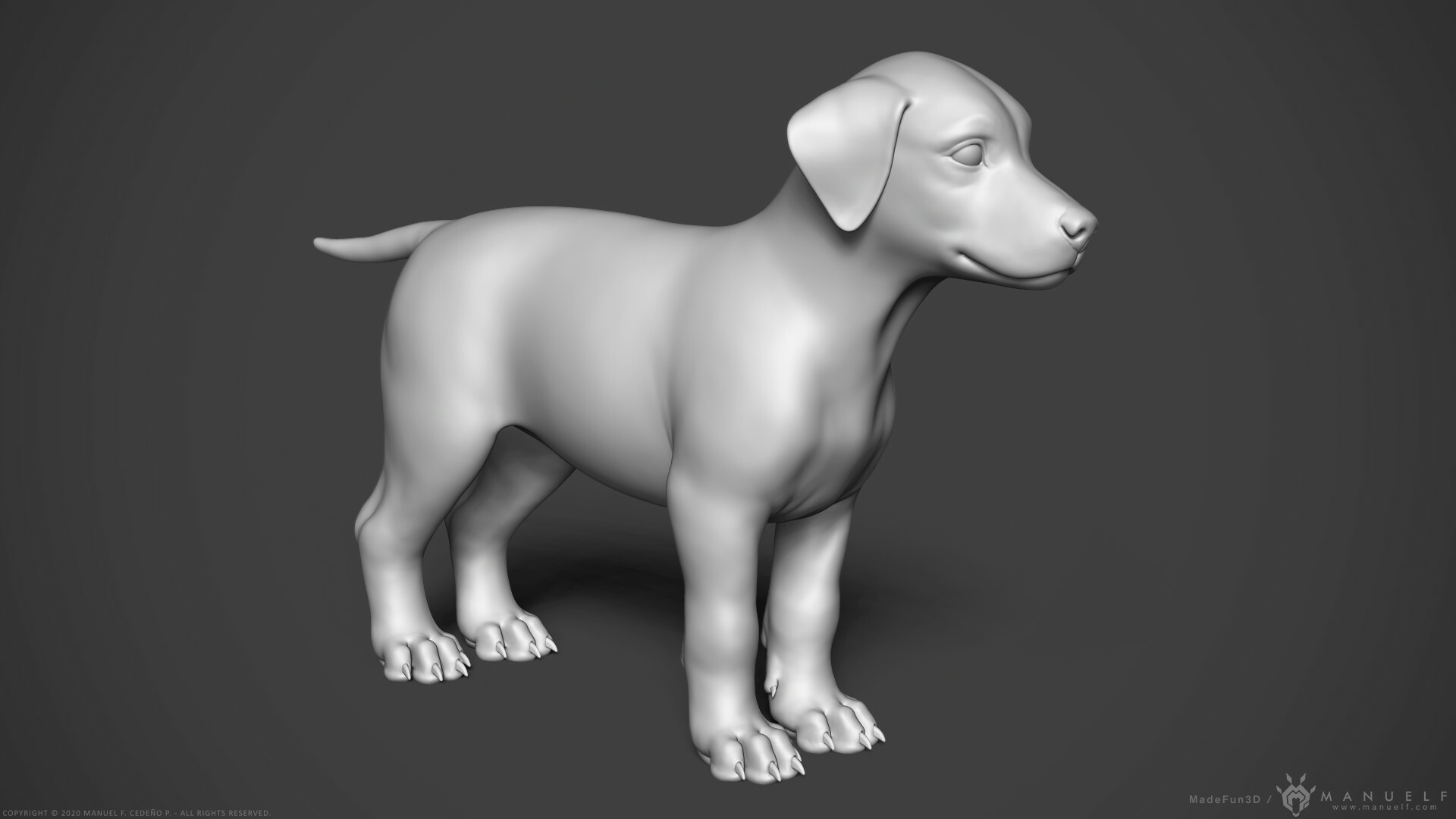 3d dog. Лабрадор 3д. 3д модели животные. 3д моделирование животные. Щенок 3д модель.