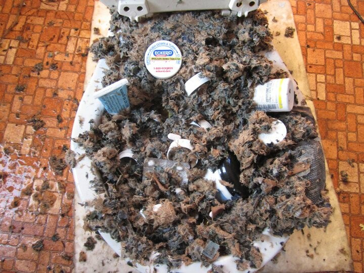 Pills in combat paper in a toilet.