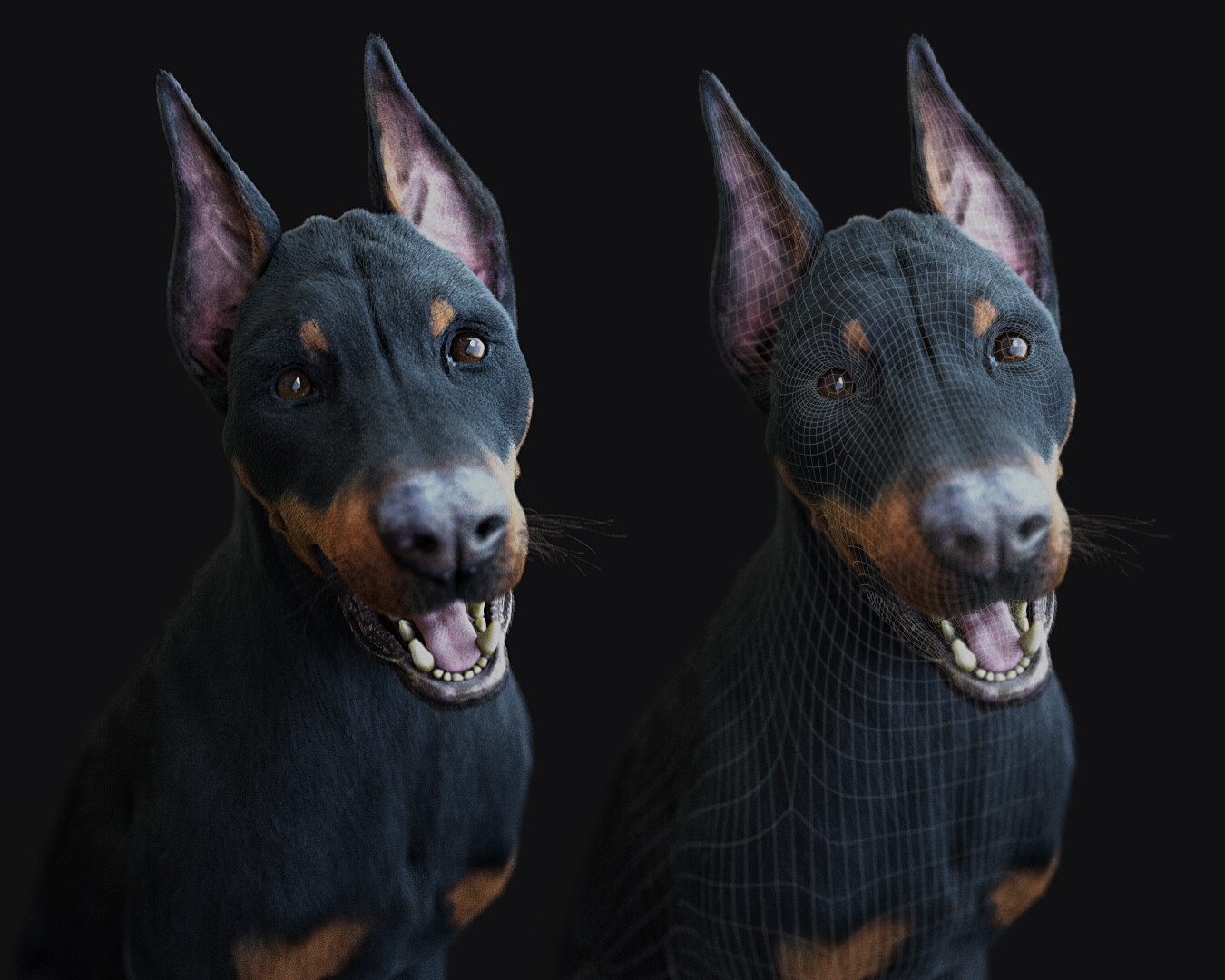 Dobe attitude test-