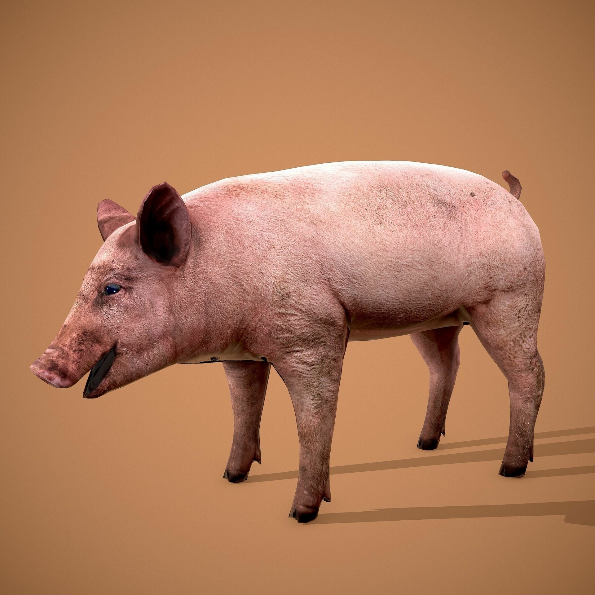Мод свинка. Свин 3д модель. Свинья 3д. 3d модель Pig сетка. Baked Pig 3d model.