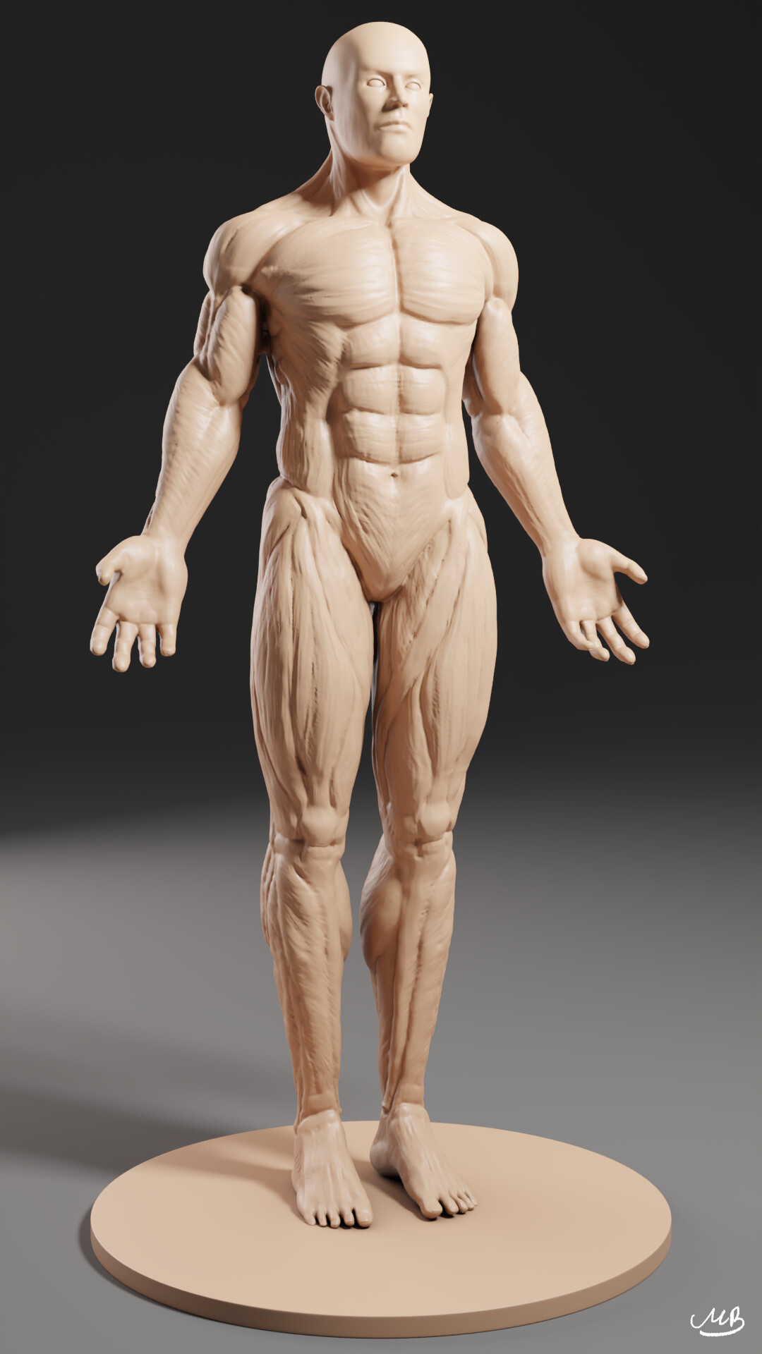 Mateusz Baranowski Male Anatomy Practice