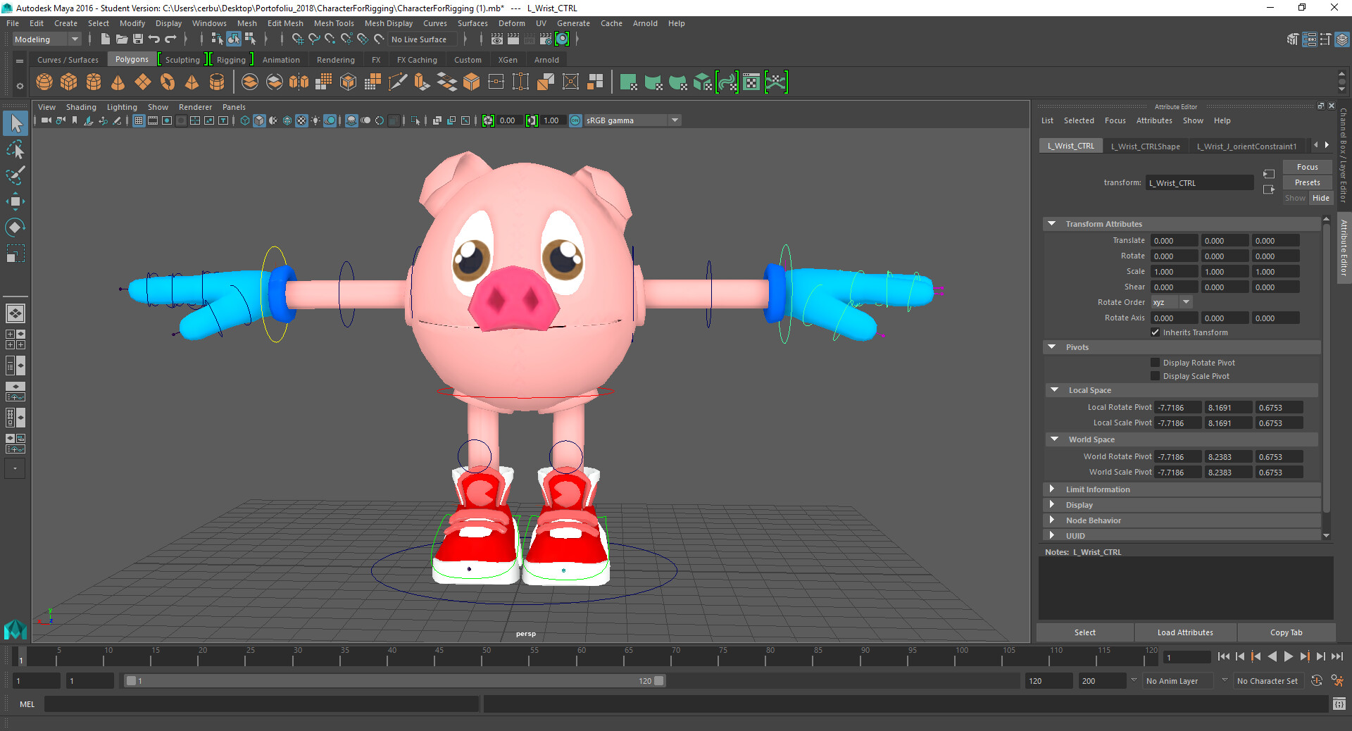 Dumitru Cerbu - Studying 3D Rigging for animation & character design /  Basic character rigging.