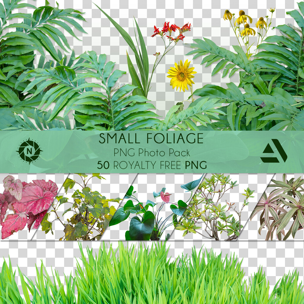 PNG Photo Pack: Small Foliage

https://www.artstation.com/a/165744