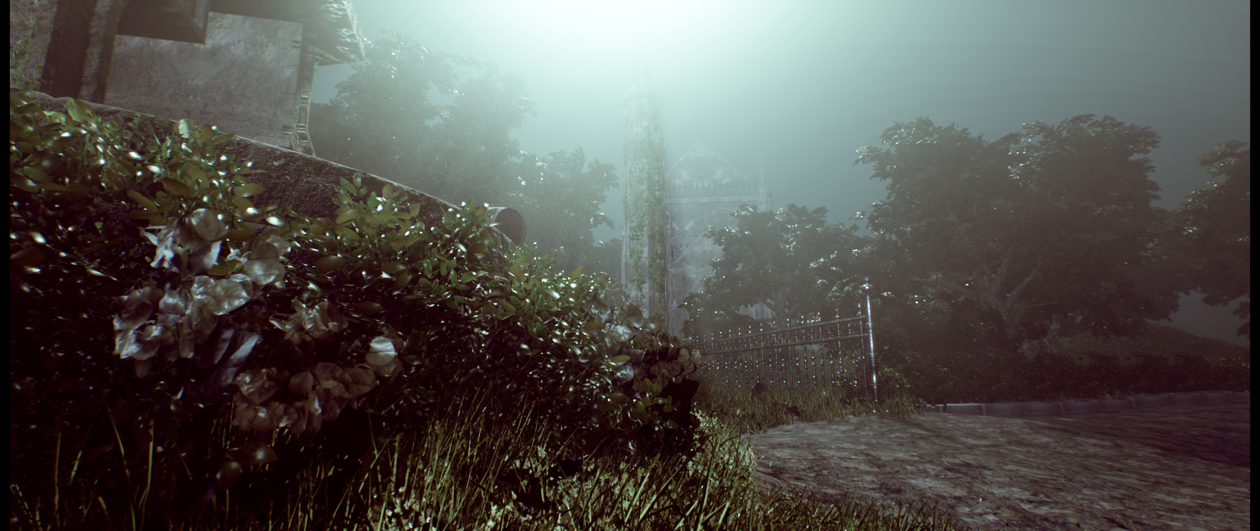 Pretty shot of the bushes.
