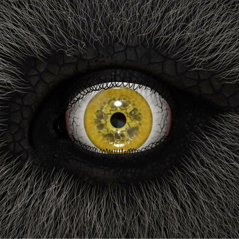 Surreal Eye