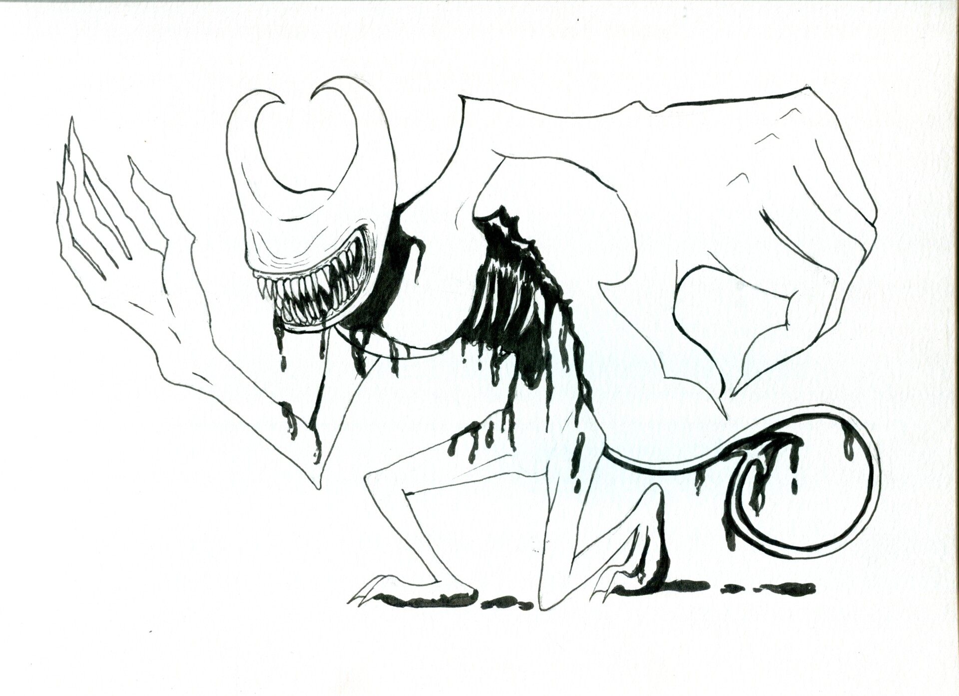kscans 