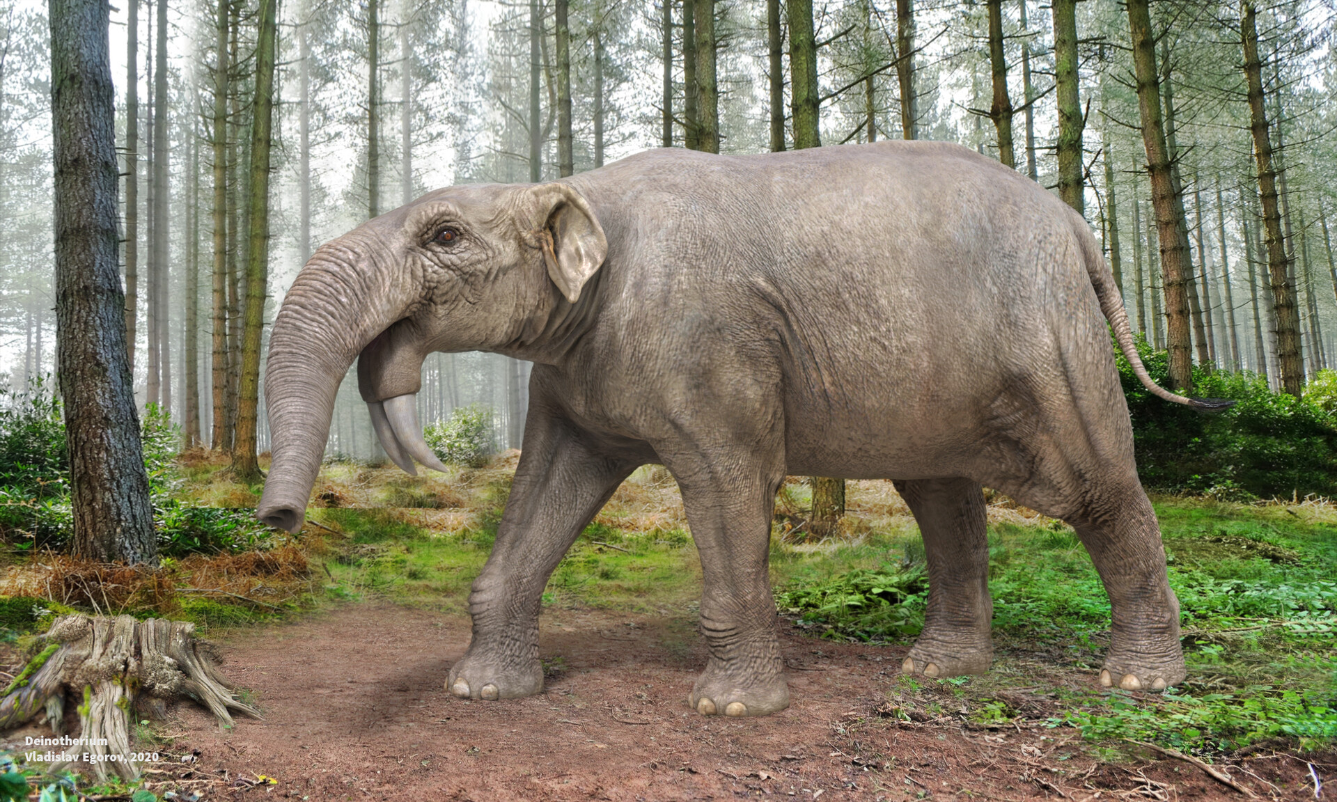 ArtStation - Deinotherium giganteum