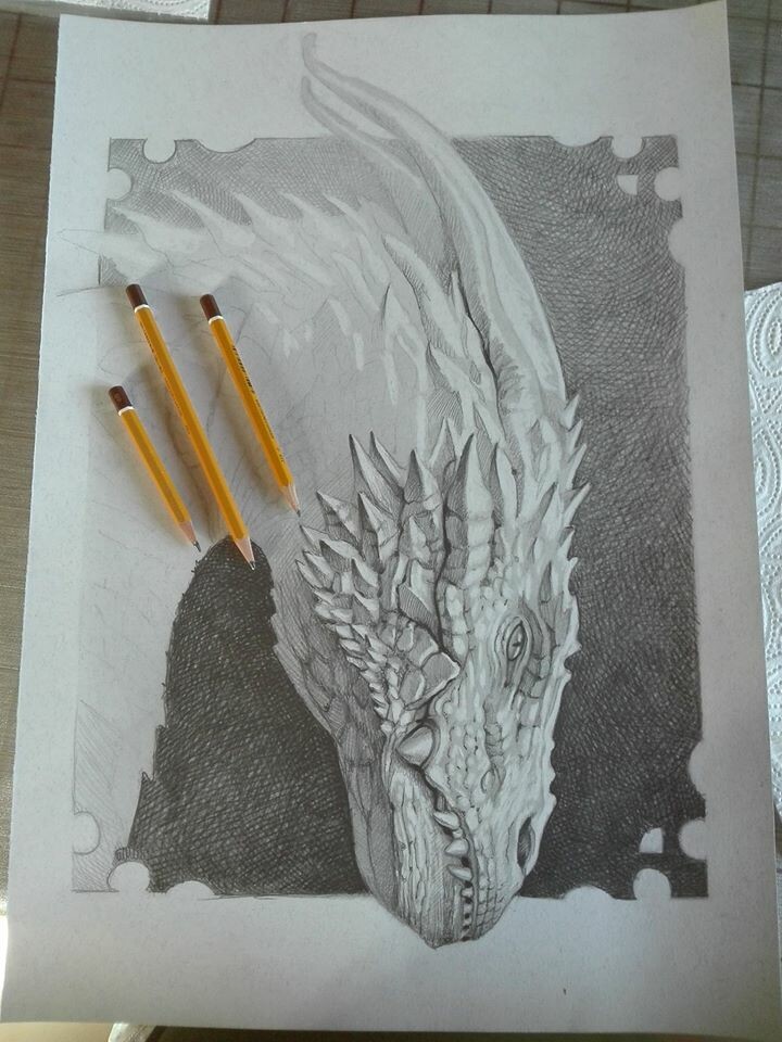 w.i.p. sketch dragon white . pencil on paper - 2019