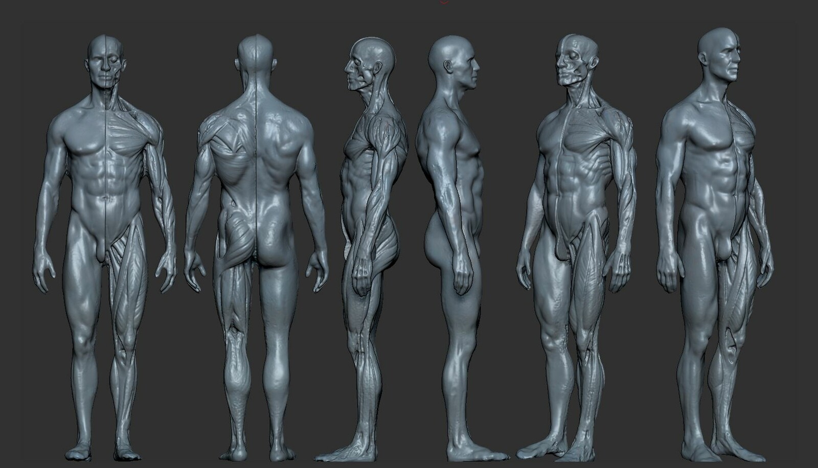 Как нарисовать человека в zbrush