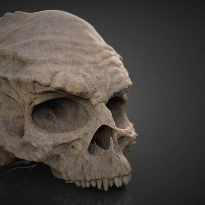 Jake hempson jake hempson ifrank z skull