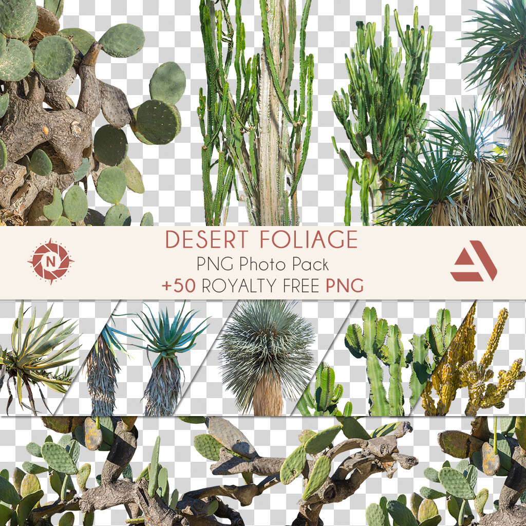 PNG Photo Pack: Desert Foliage

https://www.artstation.com/a/165866
