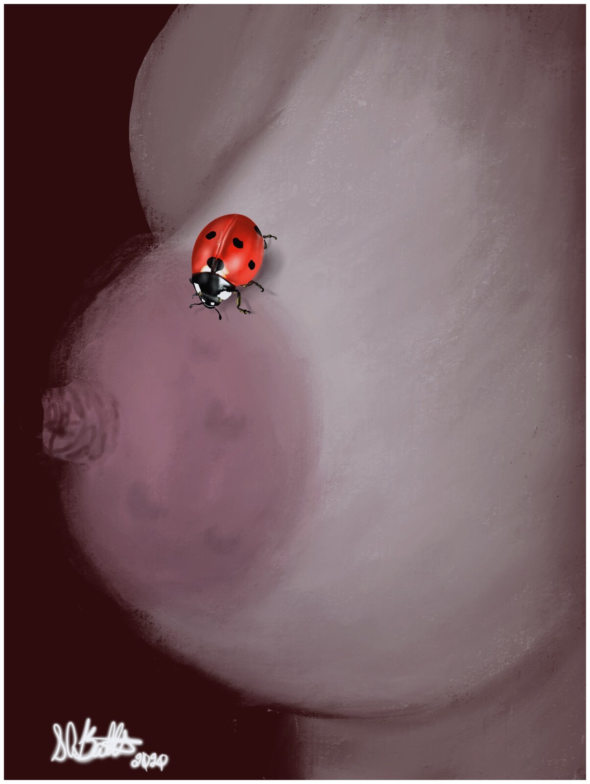 Lady Bird