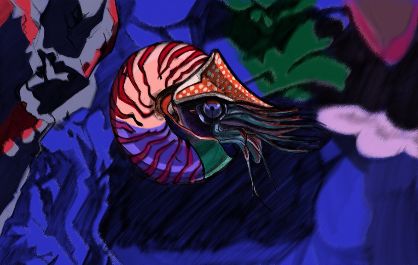 Nautilus