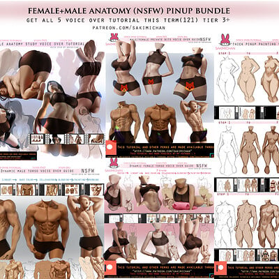 Sakimi chan dynamic male torso guide promo 02 package censored