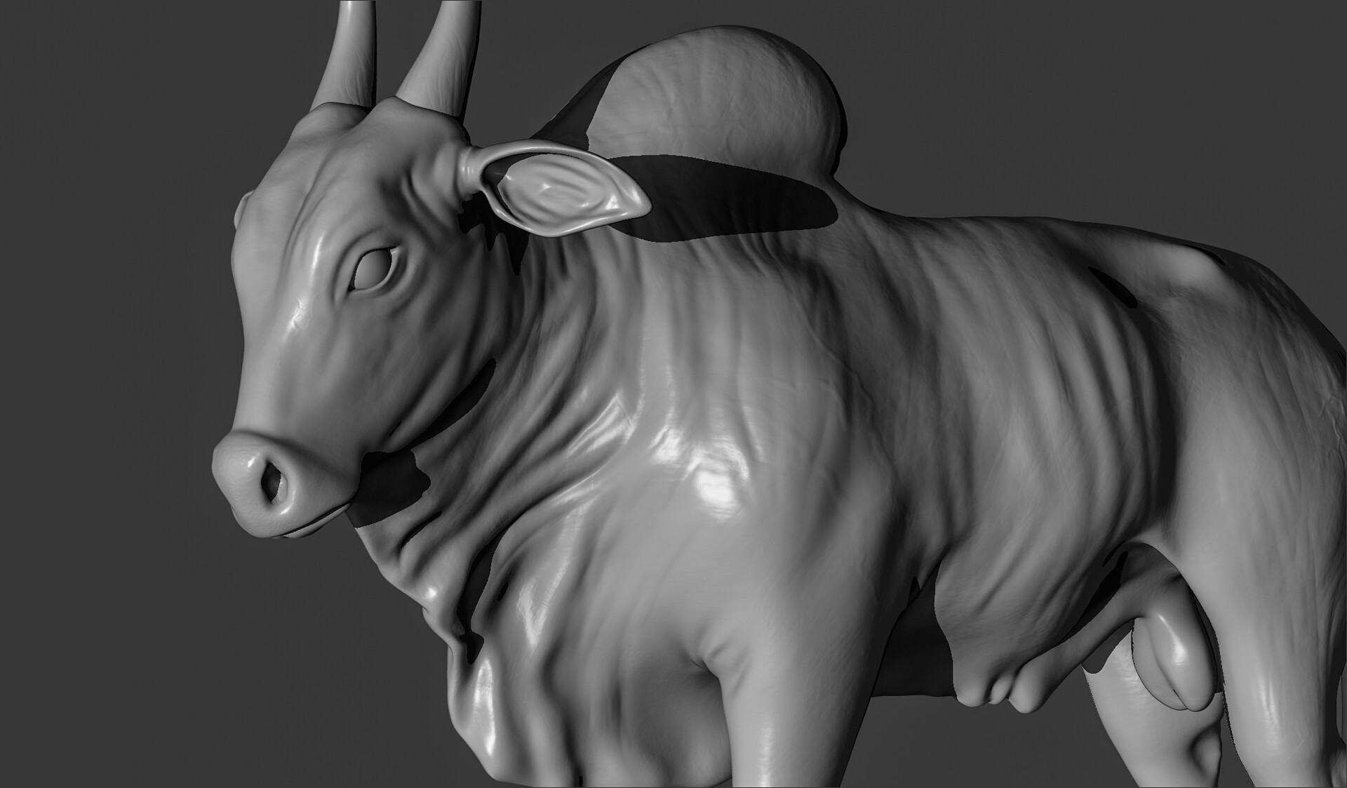 Devasis Samantry Kangayam Bull We hope you enjoy our variety and growing collection of hd images to use as a background or home screen for your smartphone and computer. devasis samantry kangayam bull