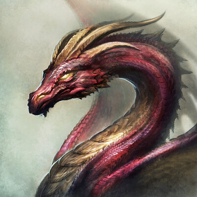 Zsolt kosa dragon2
