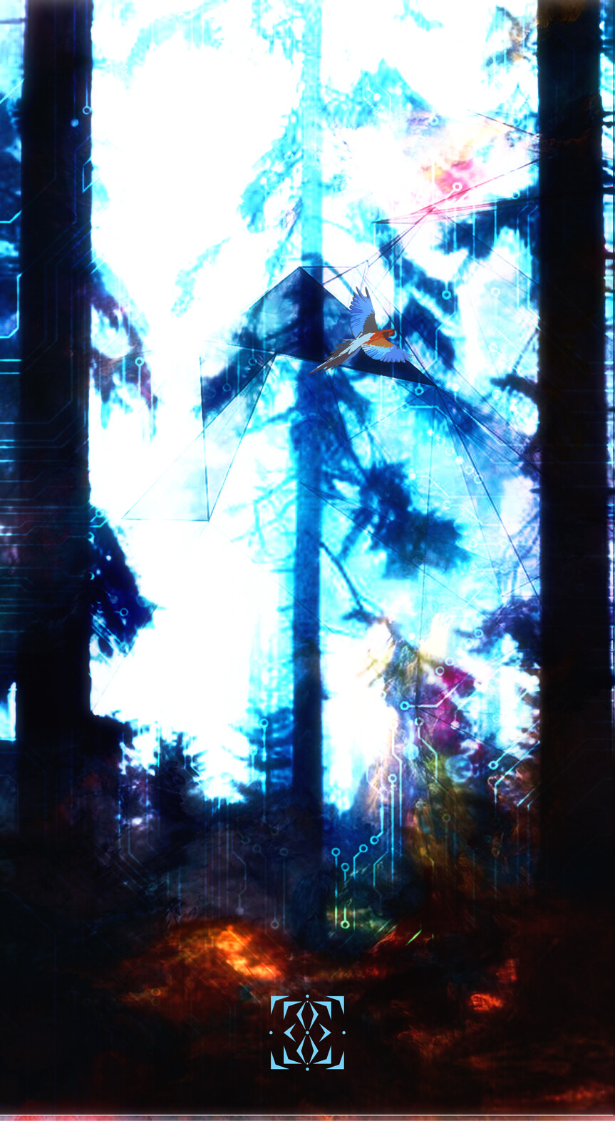 Forests_03